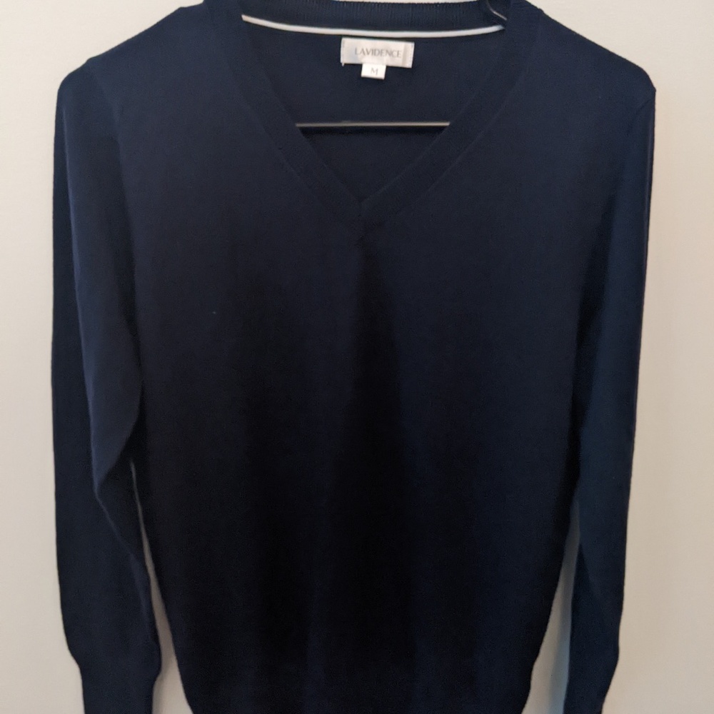 Medium Navy V-neck Sweater